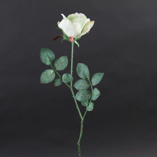 27"TWG.TWIST ALIC.ROSE BUD A4