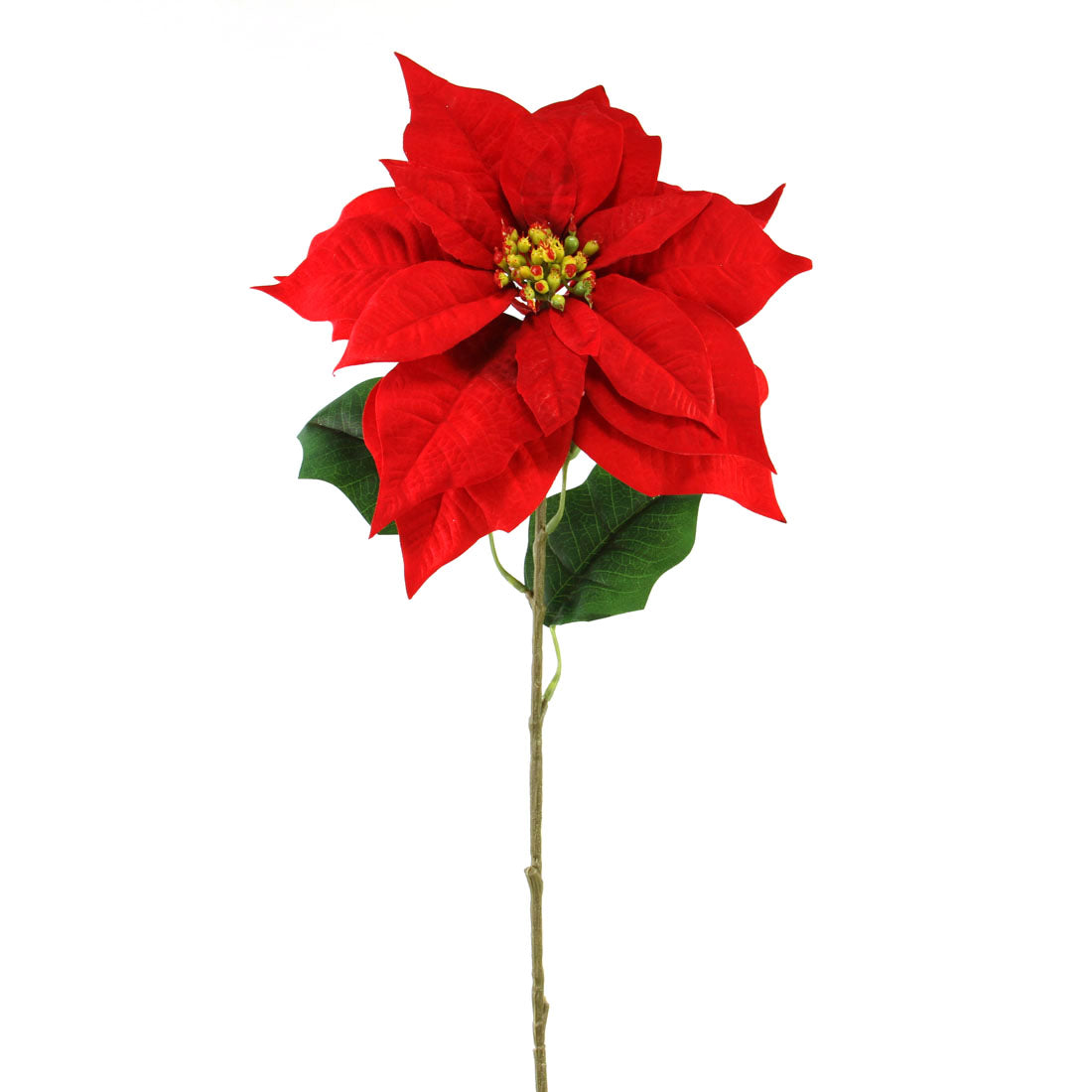 28"POINSETTIA STEM RED