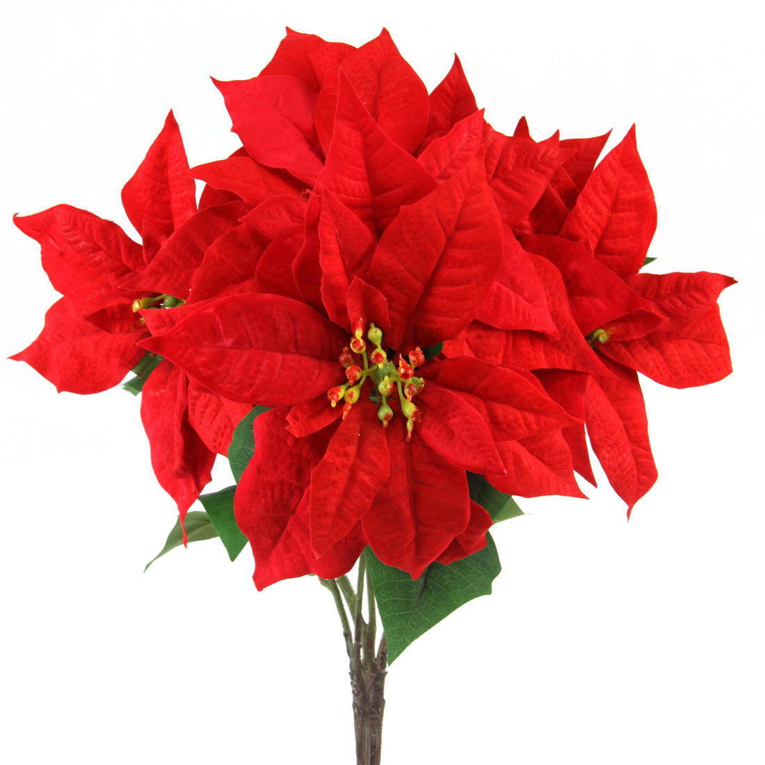 VELVET POINSETTIA RED