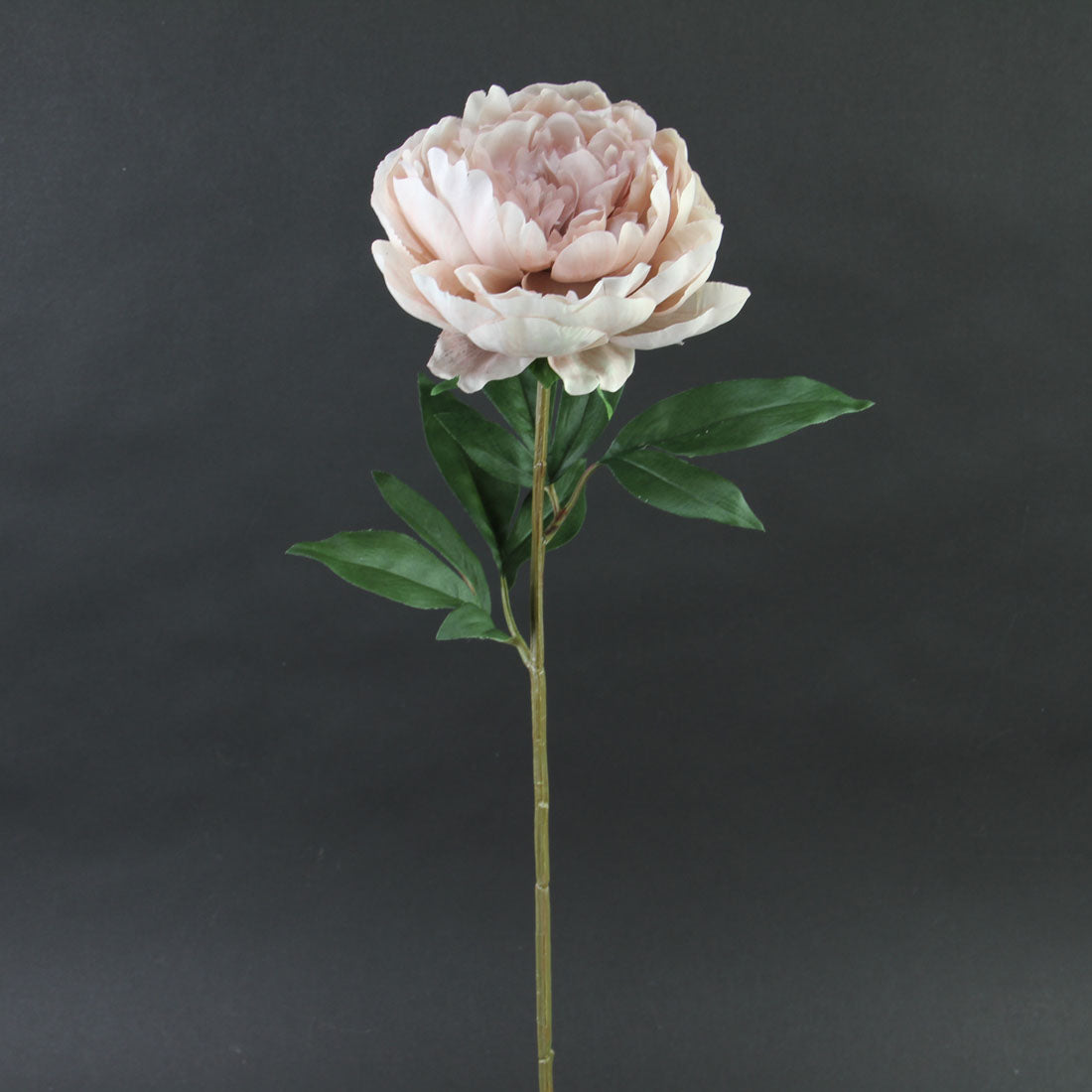25.5"PEONY SPRAY DUST PINK