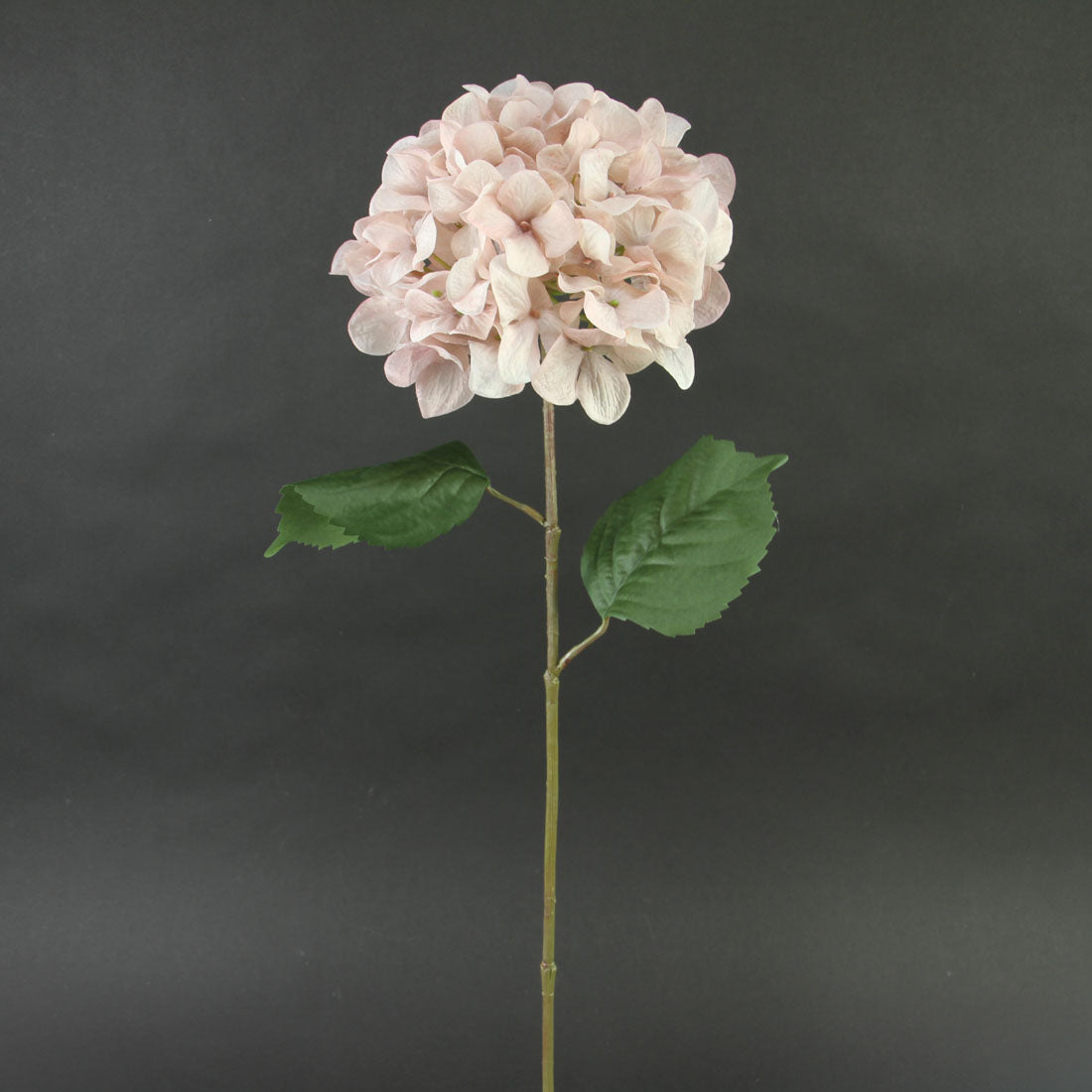 27"HYDRANGEA SPRAY DUST PINK