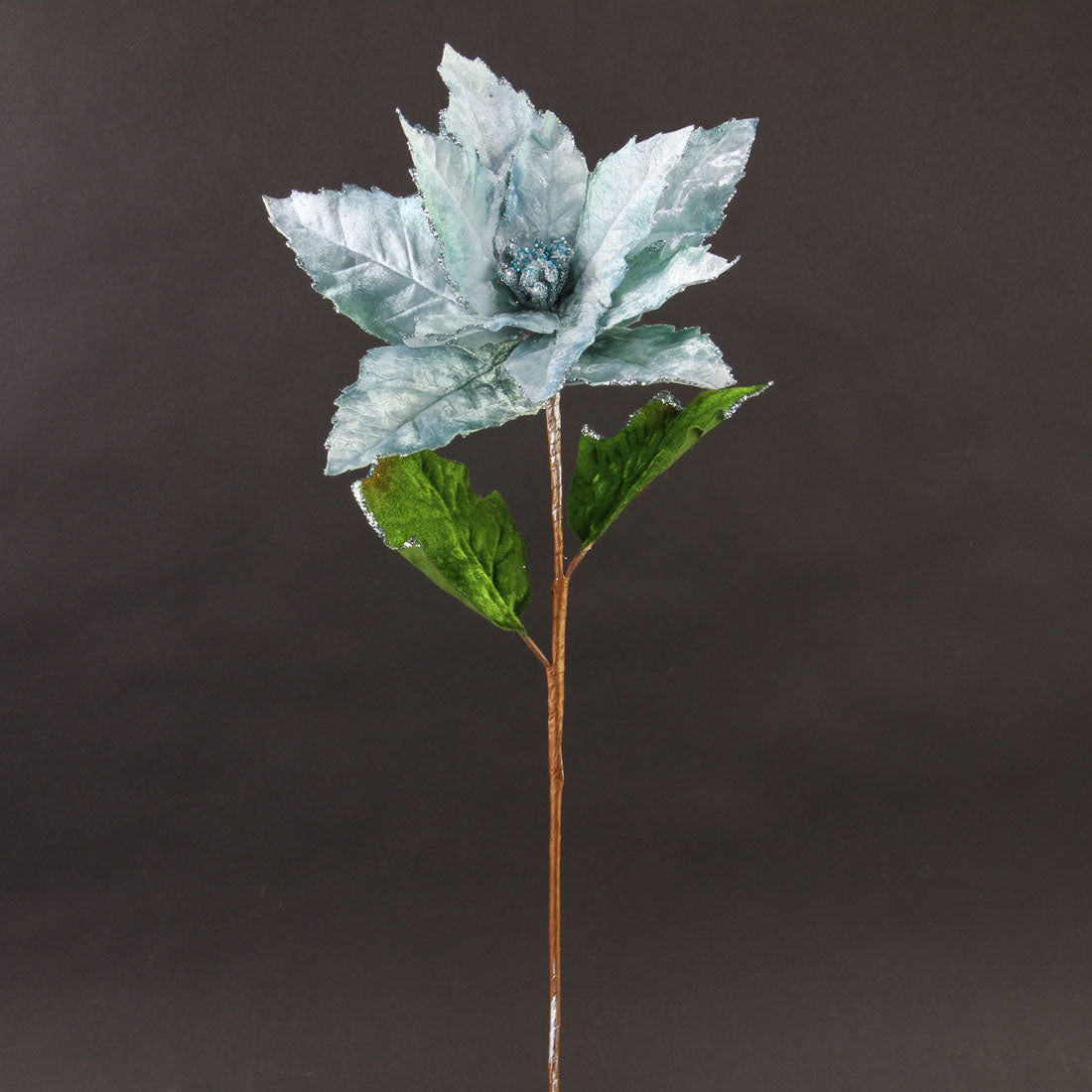 GLIT.POINSETTIA LT.BLUE