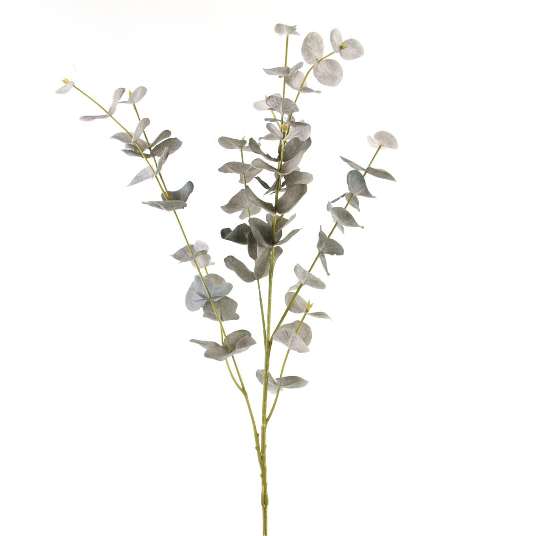 37"EUCALYPTUS SPRAY GREEN