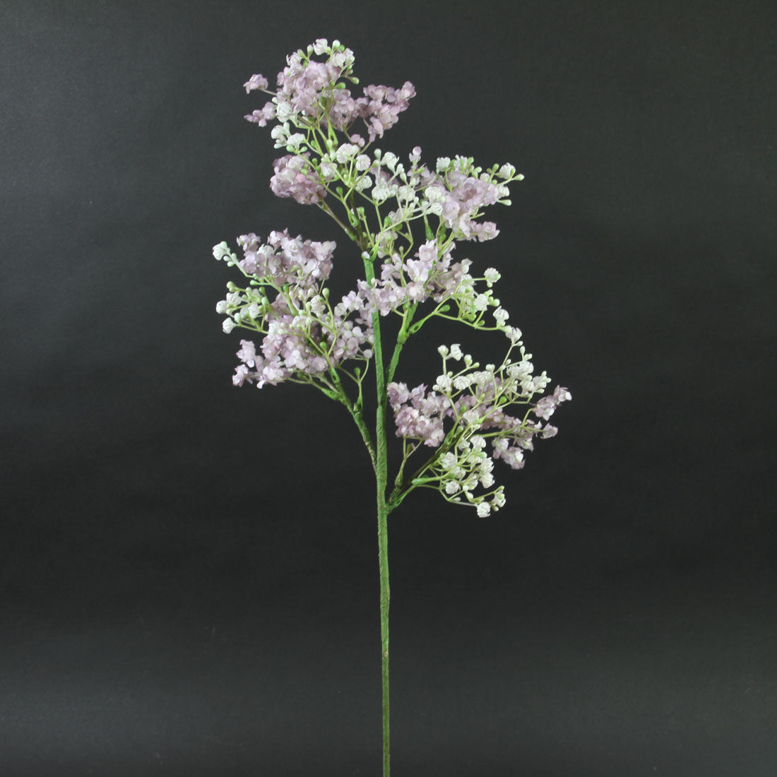 BABY'S BREATH SPRAY