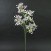 BABY'S BREATH SPRAY