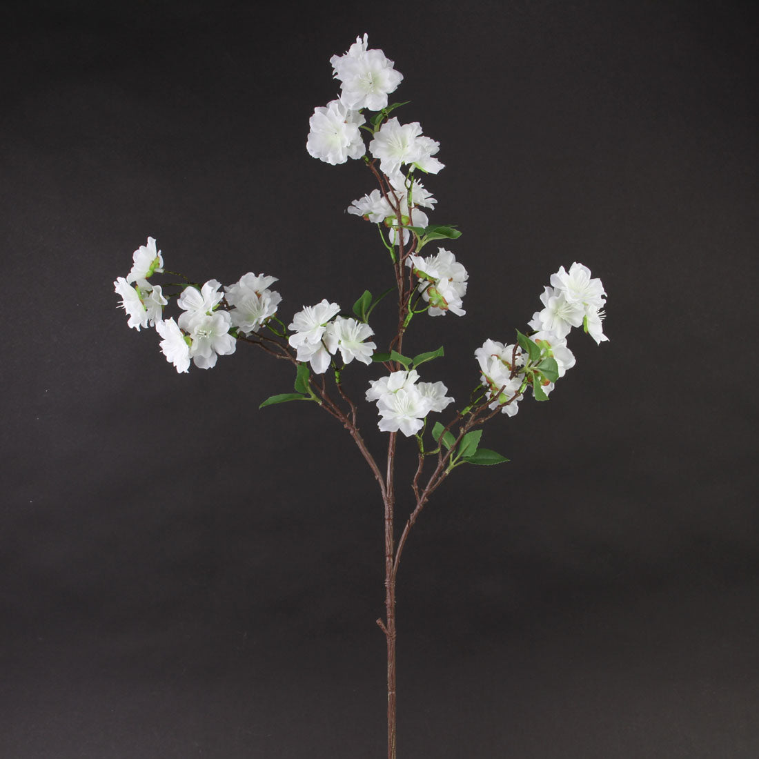 CHERRY BLOSSOM SPRAY