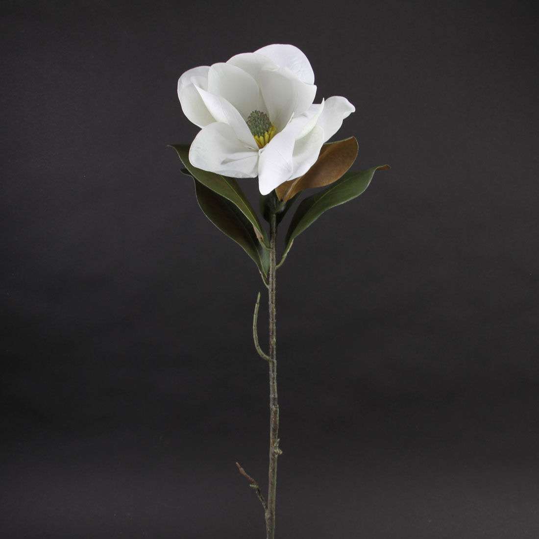 32"MAGNOLIA SPRAY