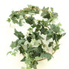 6' PUFF IVY GARLAND