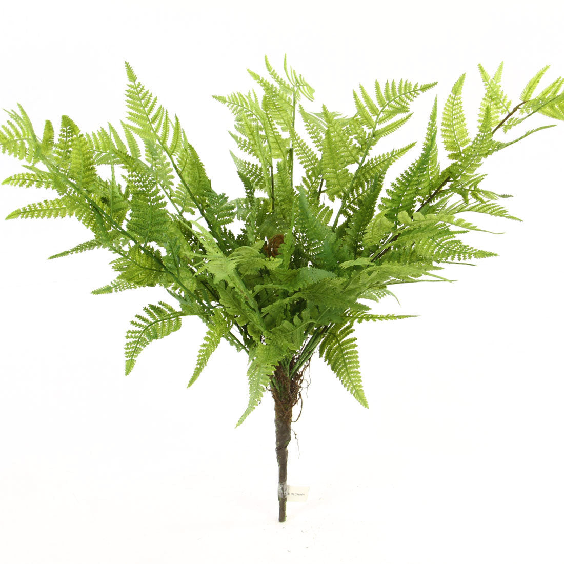 20"FERN PLANT
