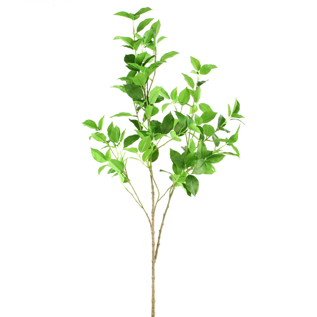45"FICUS BRANCH