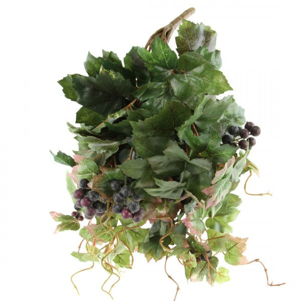 GRAPE IVY HANGING