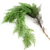 38"LEATHER FERN BUSH