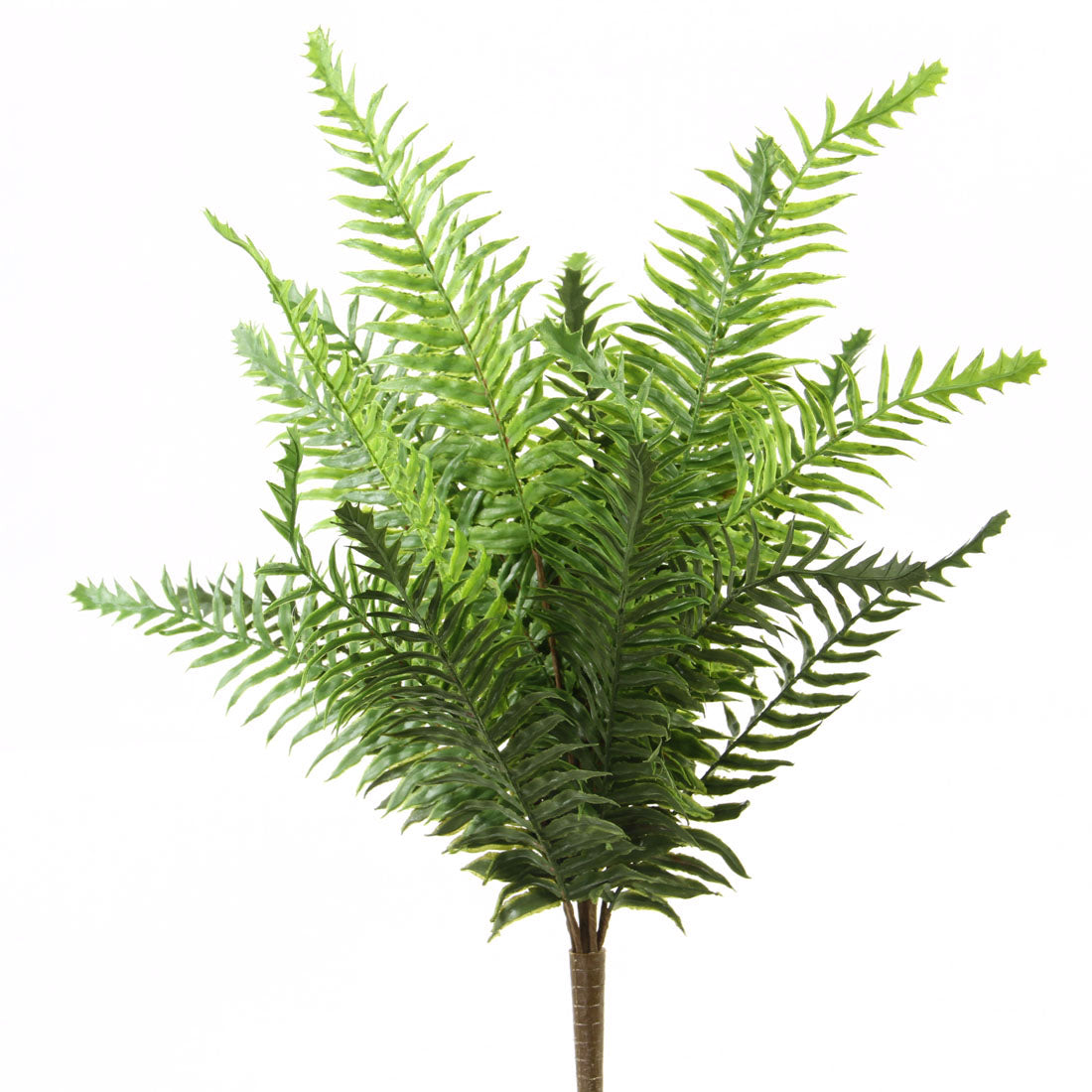 19"SWORD FERN BUSH