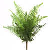 19"SWORD FERN BUSH