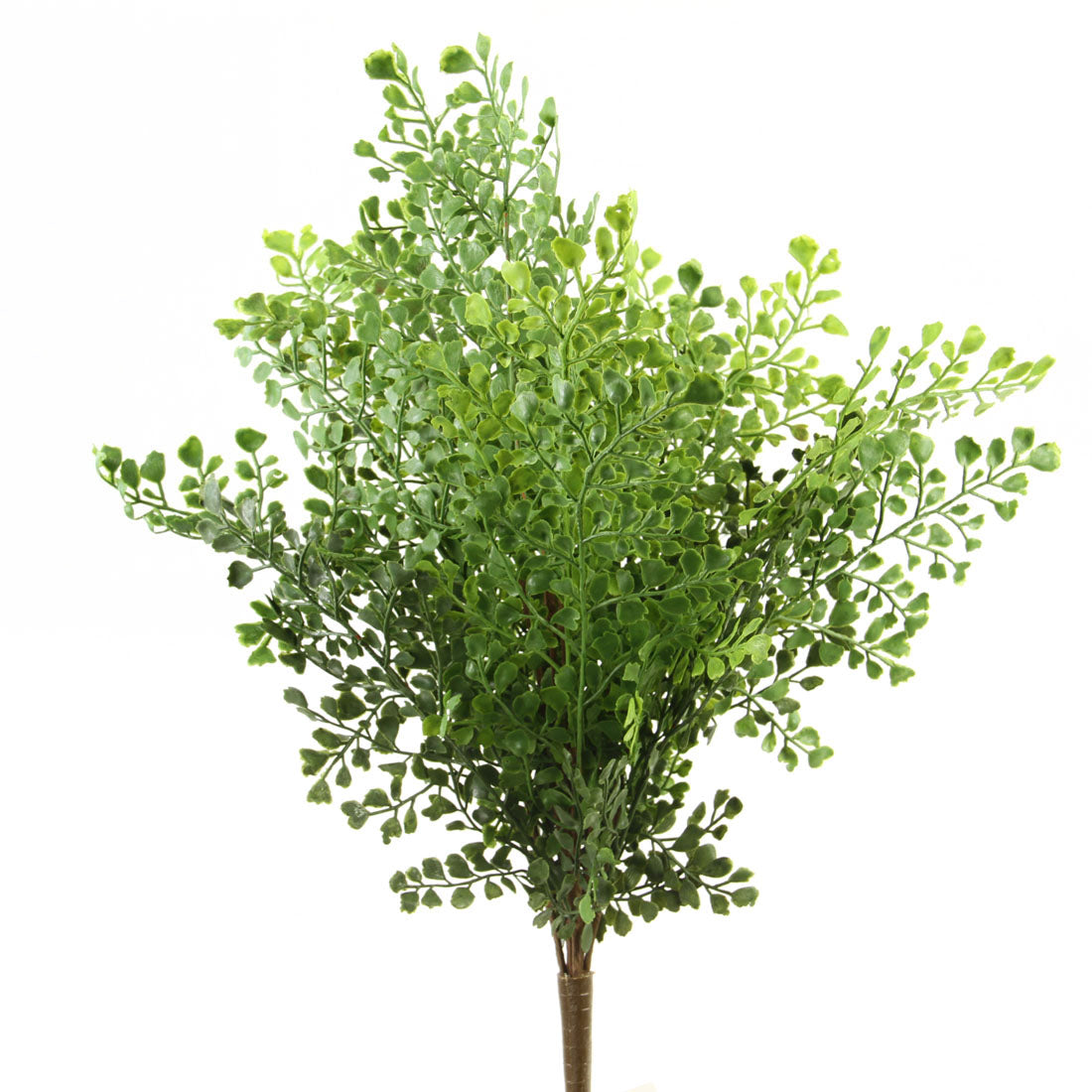 19"MAIDEHAIR FERN BUSH