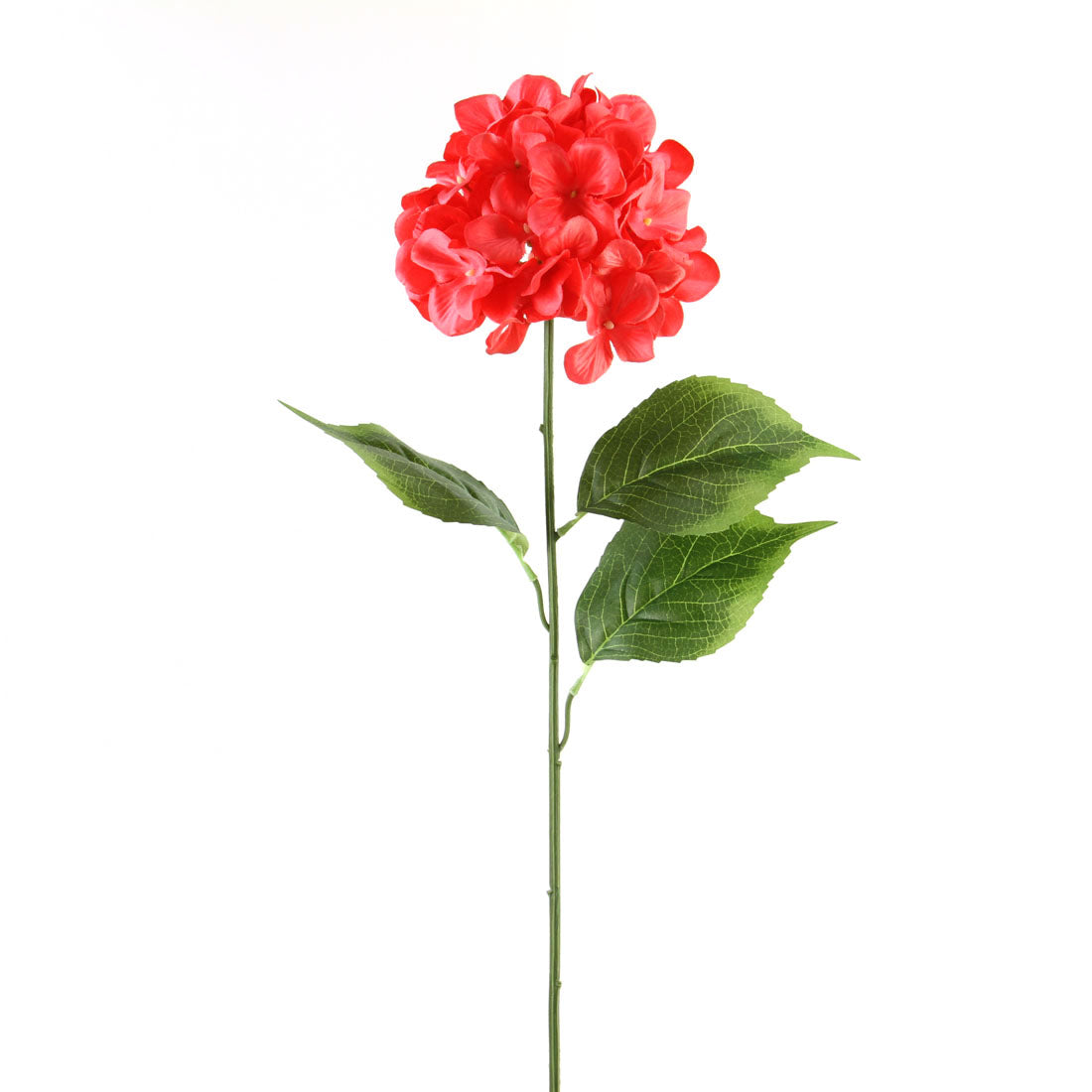 28"HYDRANGEA STEM