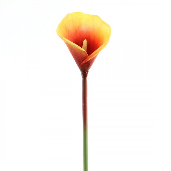 31"CALLA LILY STEM A4
