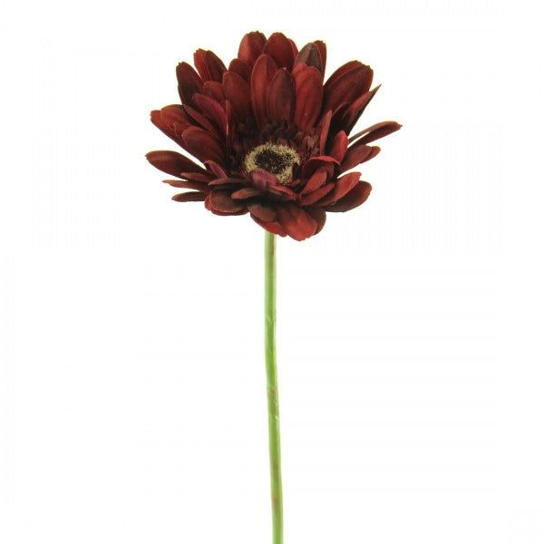 25"VELVET GERBERA A4