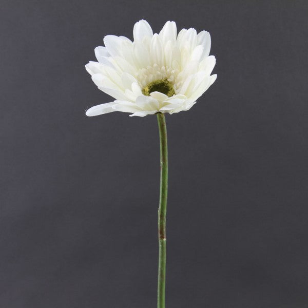 25"VELVET GERBERA CREAM A25