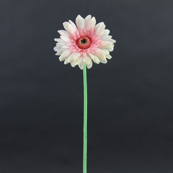 25"SINGLE GERBERA PINK A25