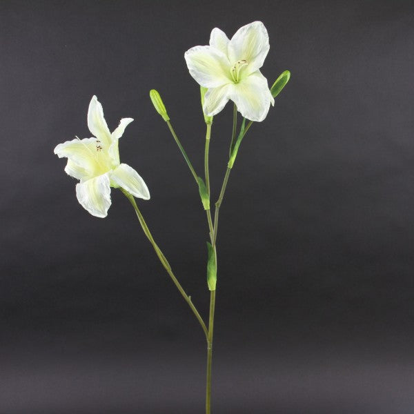 DAY LILY SPRAY CREAM A4