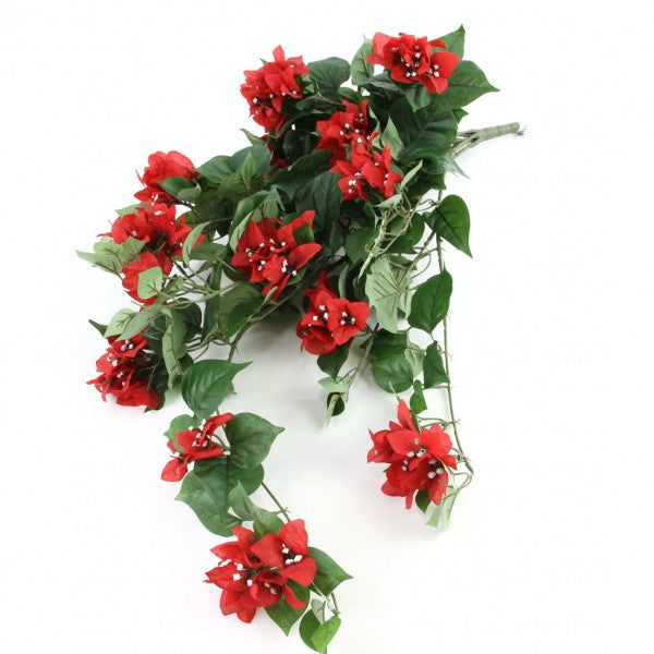 HANGING BOUGAINVILLEA RED
