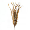 FEATHER PICK A4
