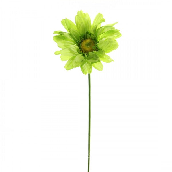 27"GERBERA DAISY GRN A4