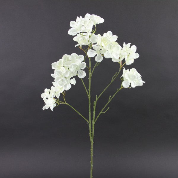 HYDRANGEA X7 CREAM A25