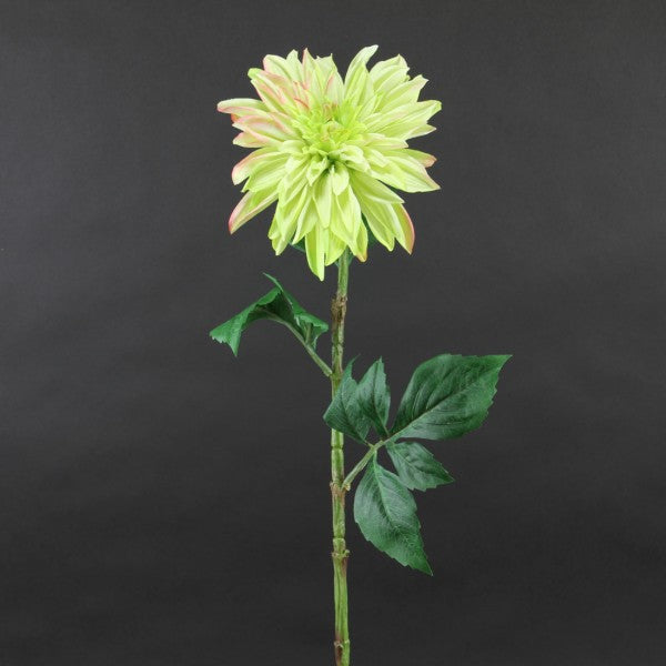 28"DAHLIA SPRAY GREEN A4