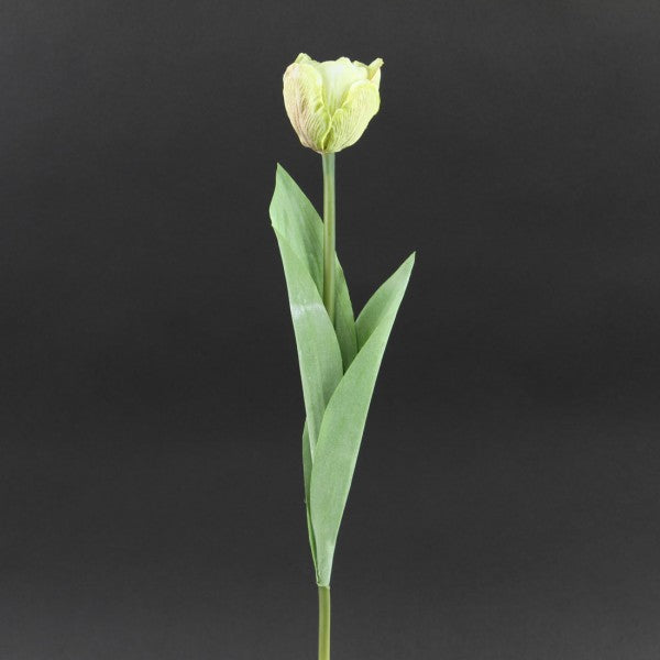 17"TULIP SPRAY LT.GRN