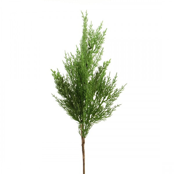 24"CYPRESS PICK GREEN
