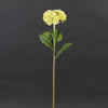 20"SEDUM STEM CREAM