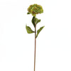 20"SEDUM STEM GREEN