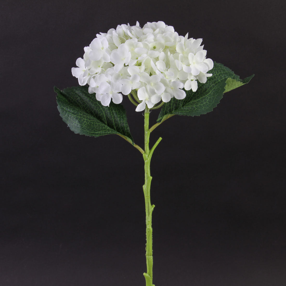 20"HYDRANGEA STEM WHITE