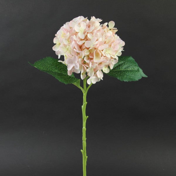 20"HYDRANGEA STEM