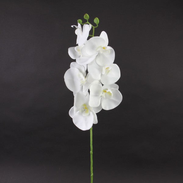 34"PHALAENOPSIS SPRAY WHITE