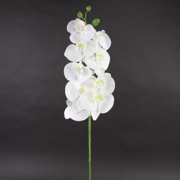 42"PHALAENOPSIS SPRAY WHITE