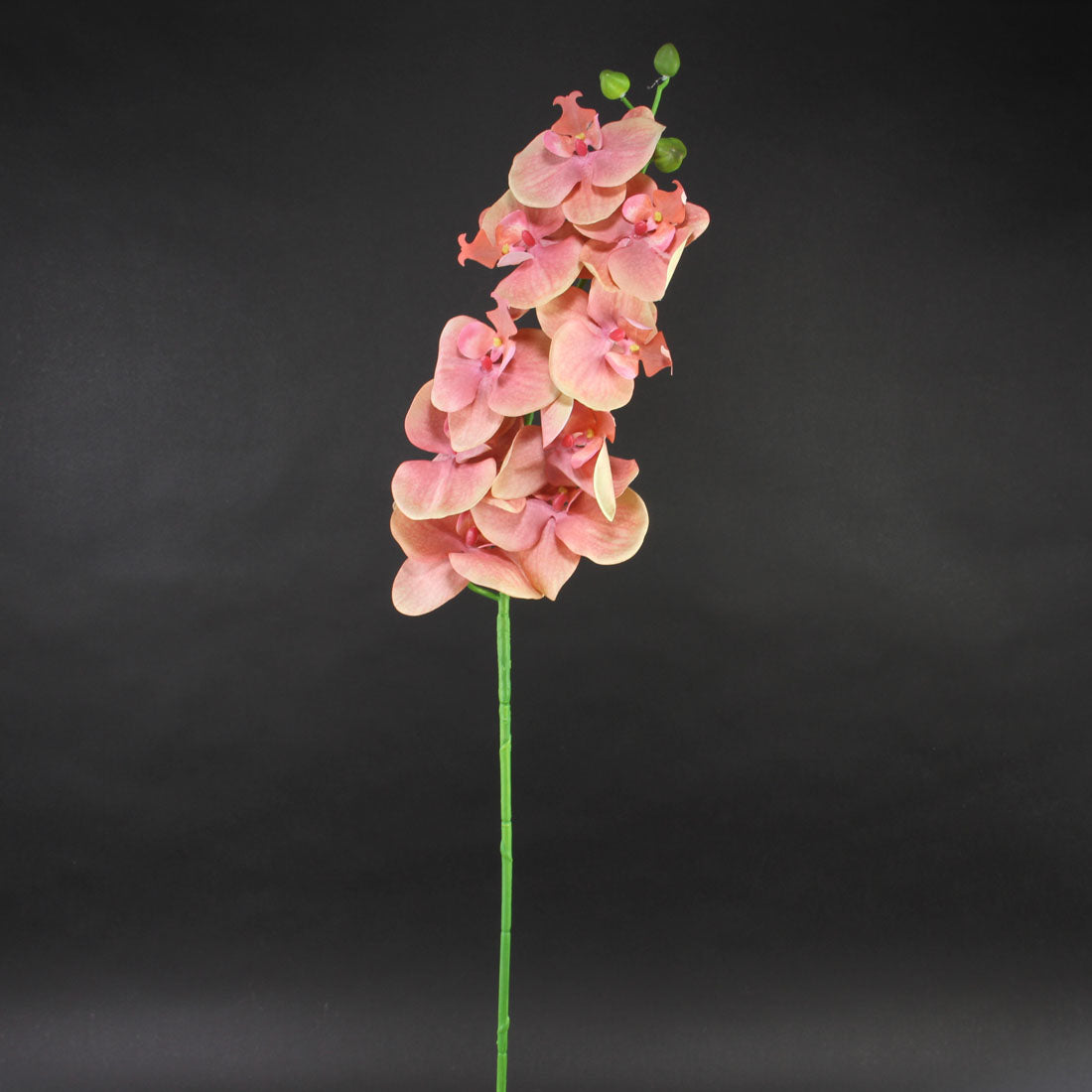 42"PHALAENOPSIS SPRAY CORAL