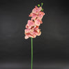 42"PHALAENOPSIS SPRAY CORAL