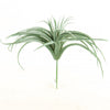10.5" TILLANSIA PICK A4