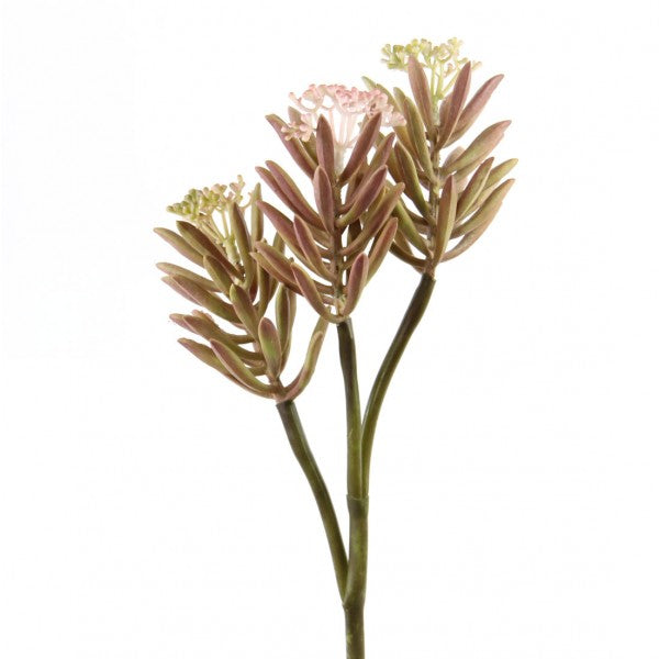 15" ALOE FLOWER SPRAY X3