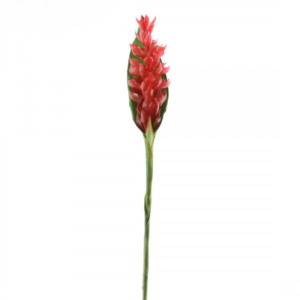 42"GINGER SPRAY RED A4