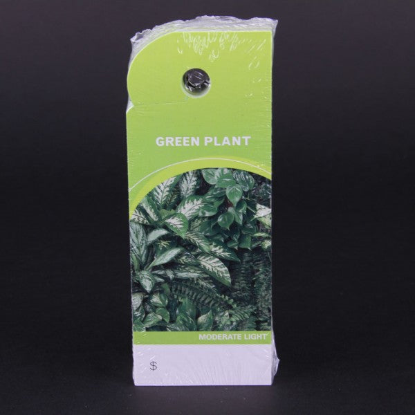 5.25"CARE TAG GREEN PLANT