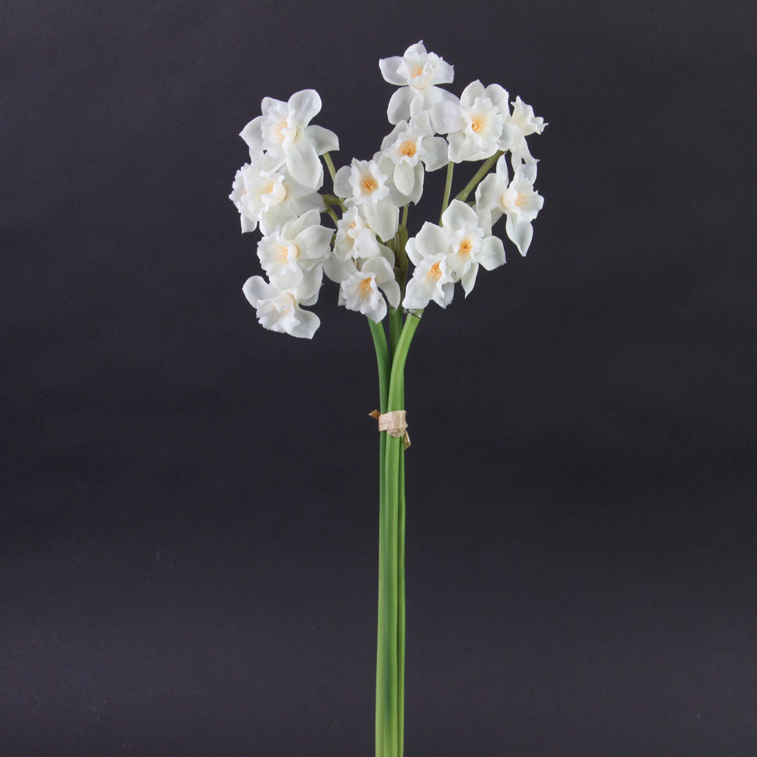 NARCISSUS BUNCH WHITE