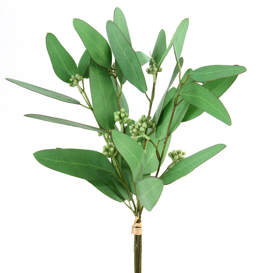 IRONBARK EUCALYPTUS BUNCH