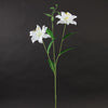 CROWN LILY WHITE