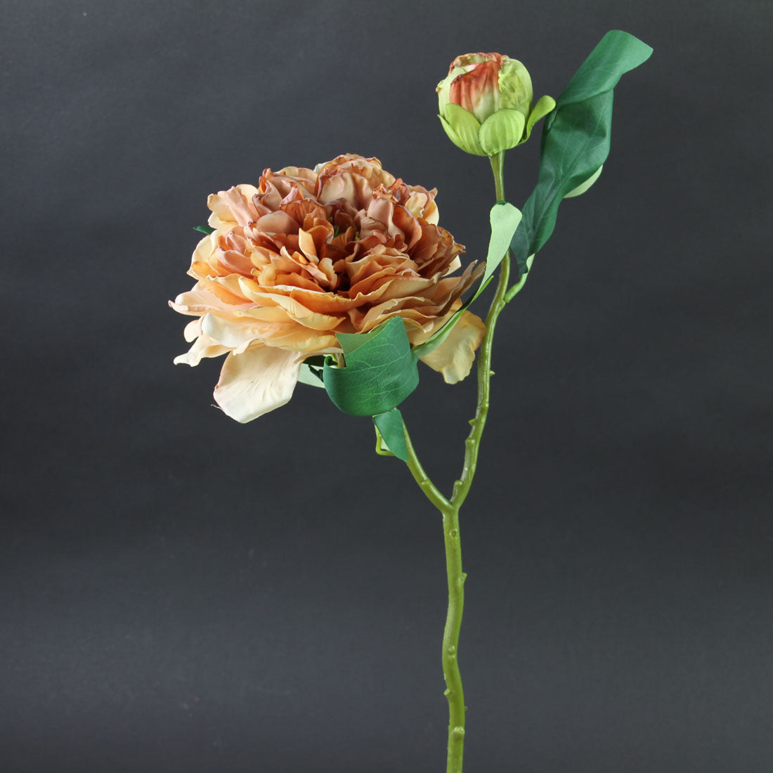 FRENCH PEONY SORBET