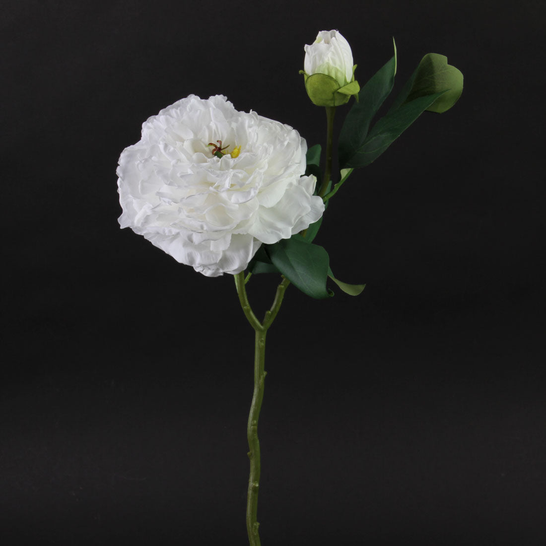 ROYAL PEONY BRIDAL WHITE