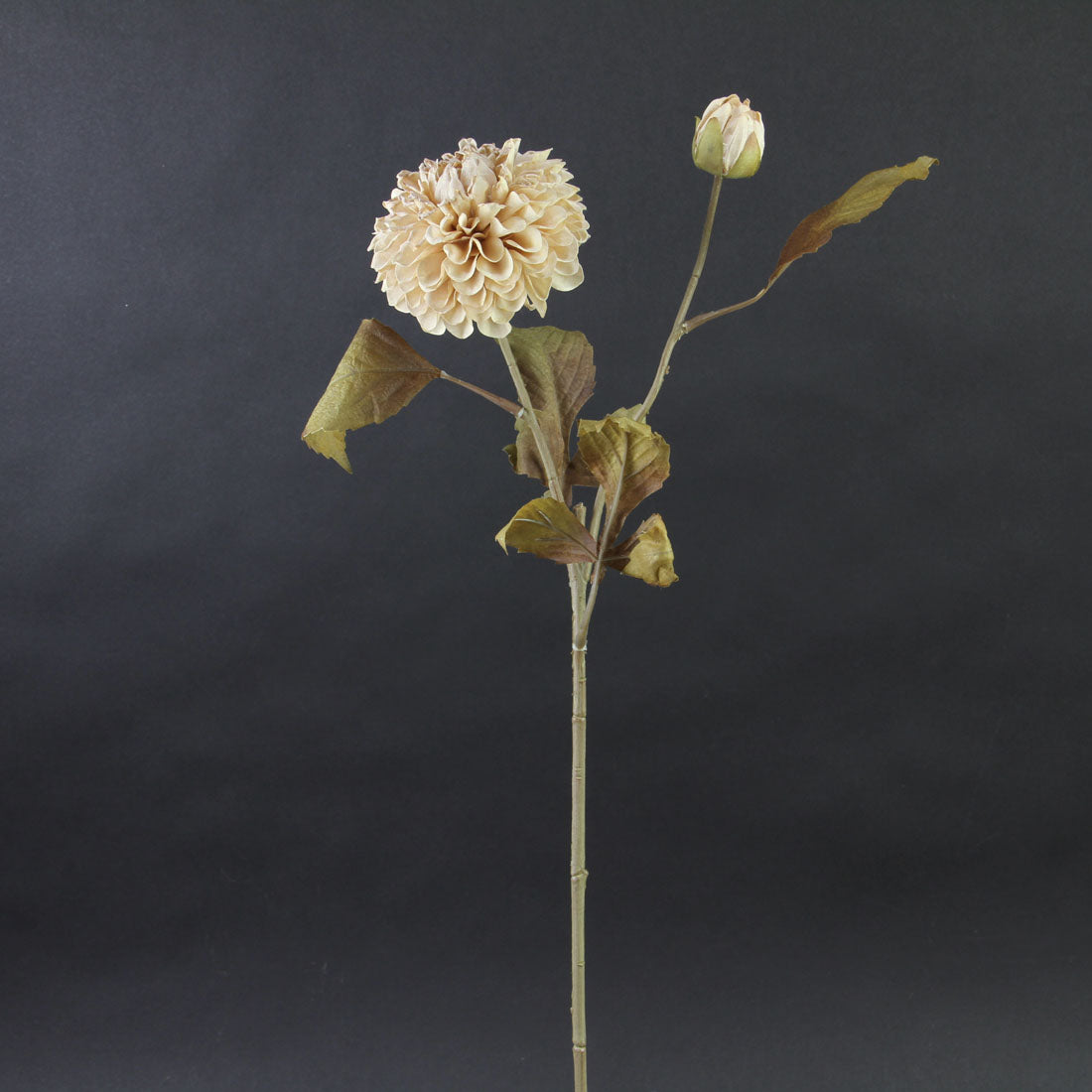 AUTUMN GARDEN CREAM